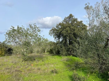 Terreno para Venda em Paderne