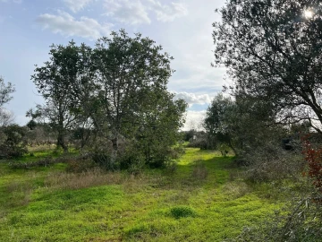 Terreno para Venda em Paderne