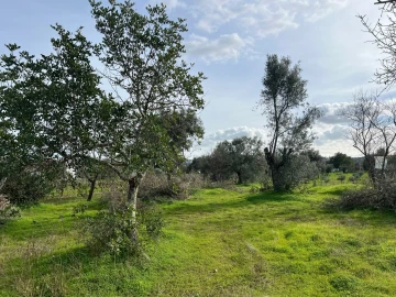 Terreno para Venda em Paderne