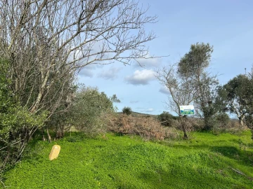 Terreno para Venda em Paderne