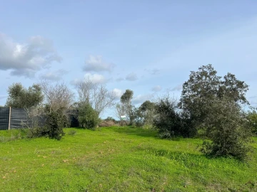 Terreno para Venda em Paderne