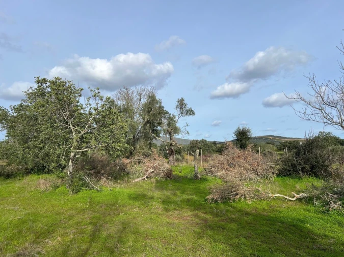 Terreno para Venda em Paderne Foto 8