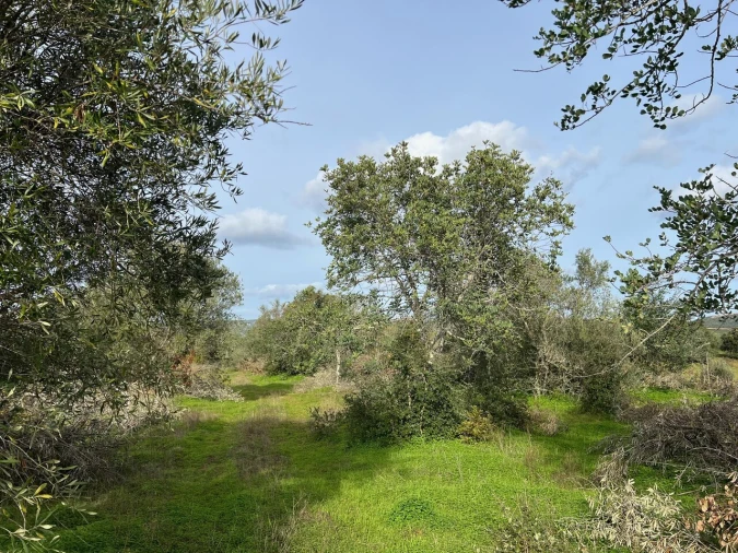 Terreno para Venda em Paderne Foto 10