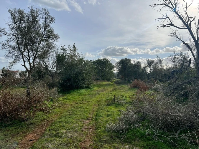 Terreno para Venda em Paderne Foto 14