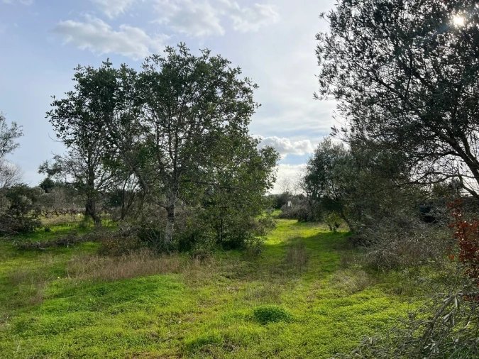 Terreno para Venda em Paderne Foto 15