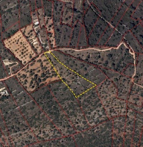 Terreno para Venda em Paderne