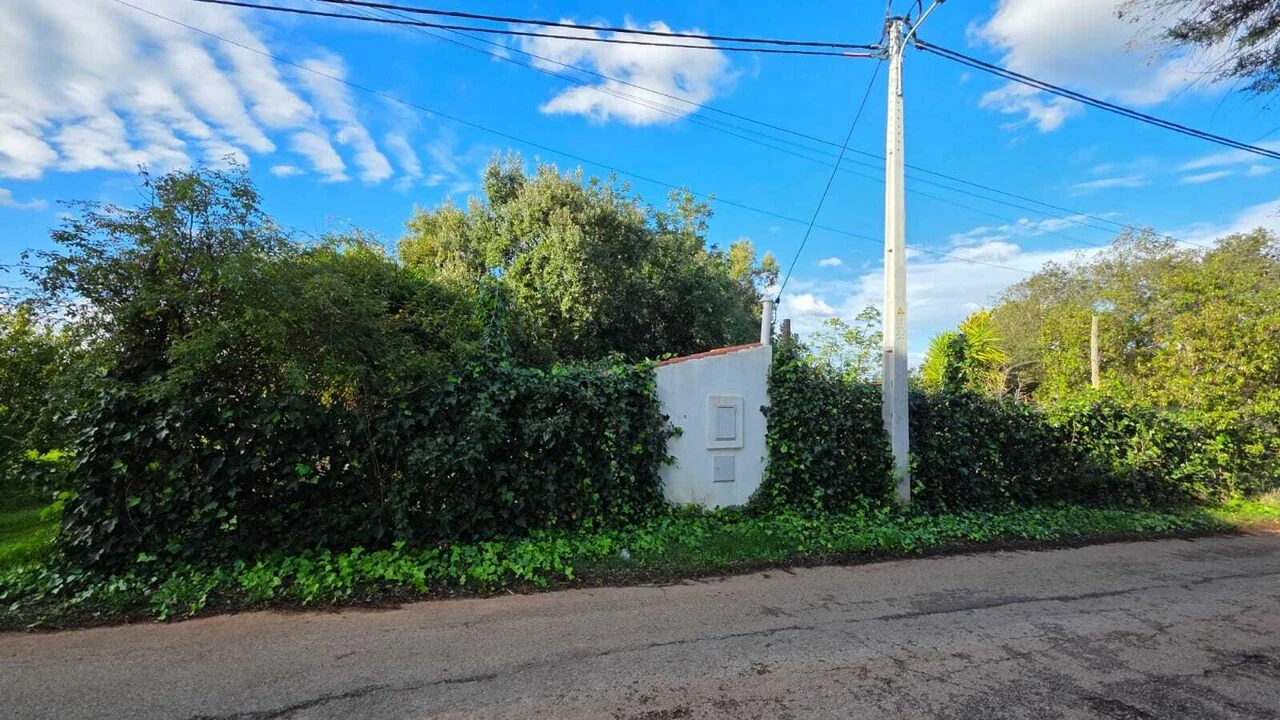 Terreno para Venda em Alcantarilha e Pêra Foto 1