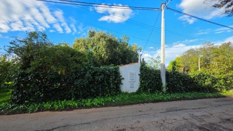 Terreno para Venda em Alcantarilha e Pêra