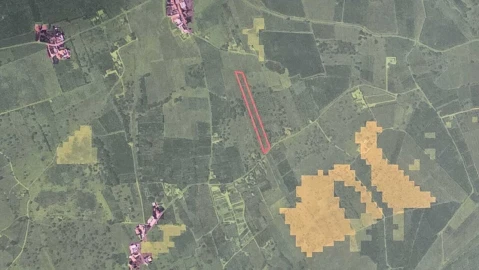 Terreno para Venda em Alcantarilha e Pêra