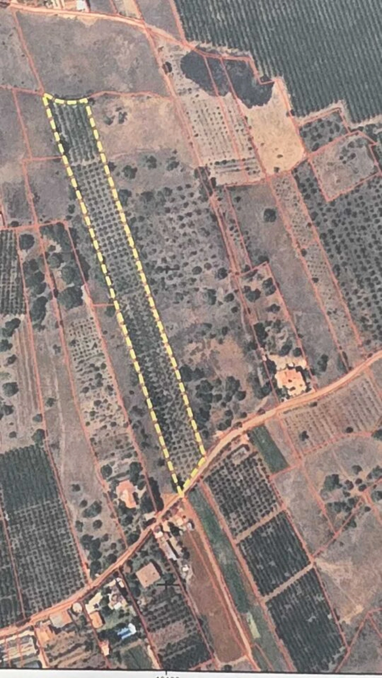 Terreno para Venda em Alcantarilha e Pêra Foto 5