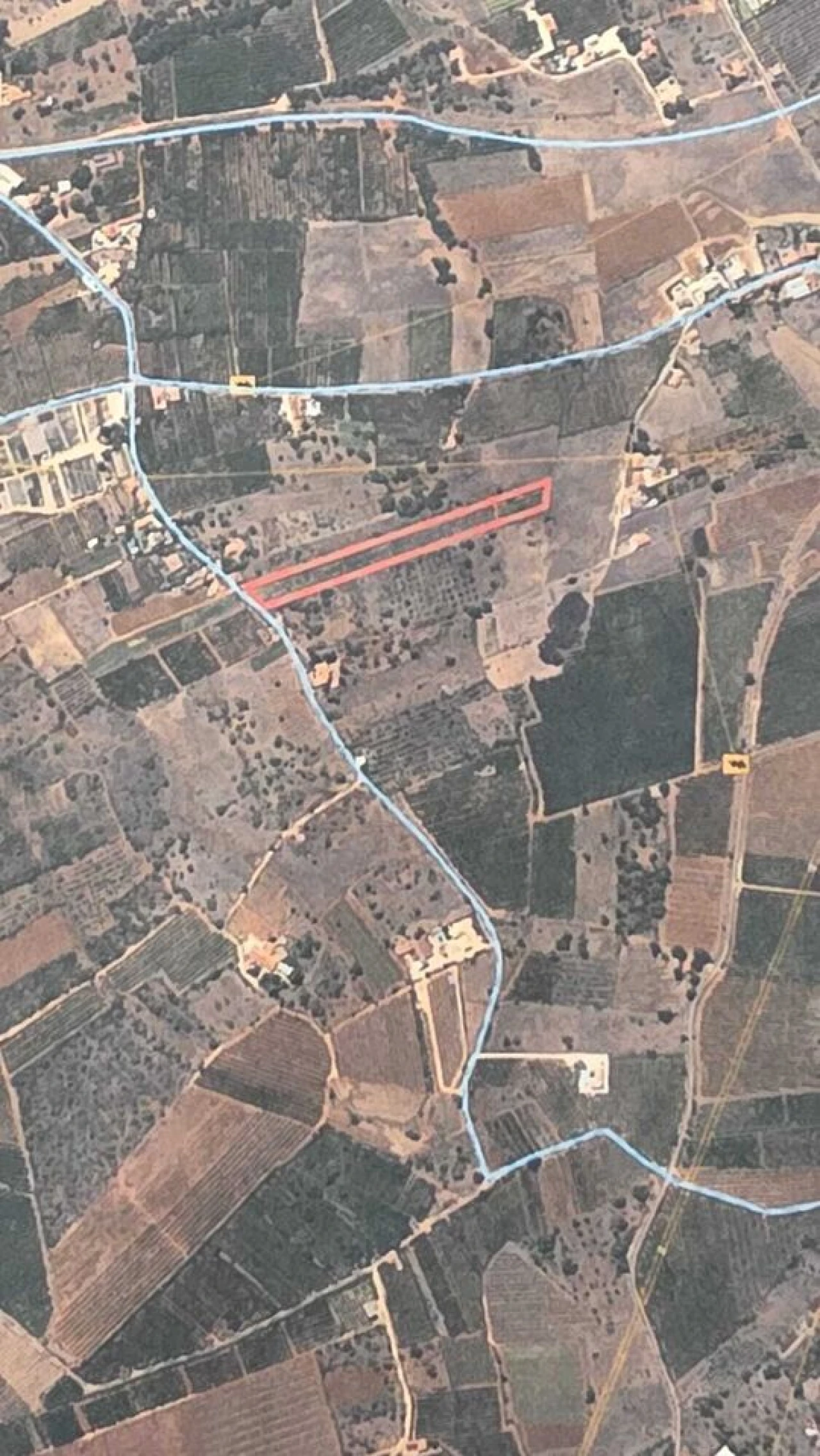 Terreno para Venda em Alcantarilha e Pêra Foto 6