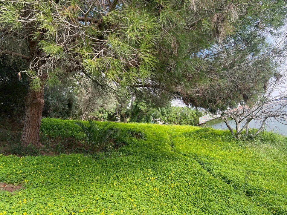 Terreno para Venda em Guia Foto 7