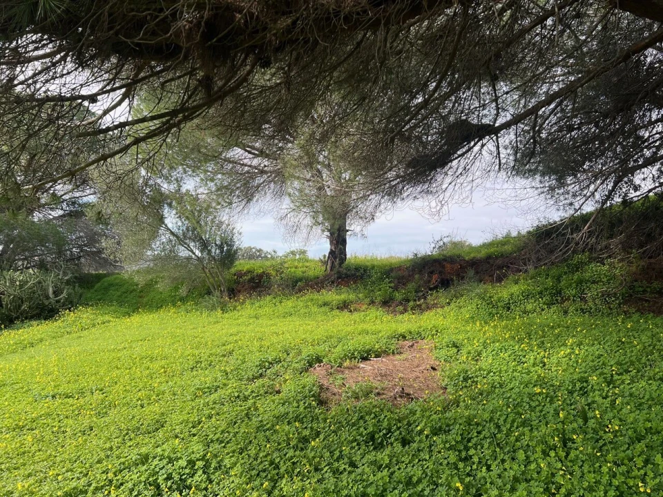 Terreno para Venda em Guia Foto 3