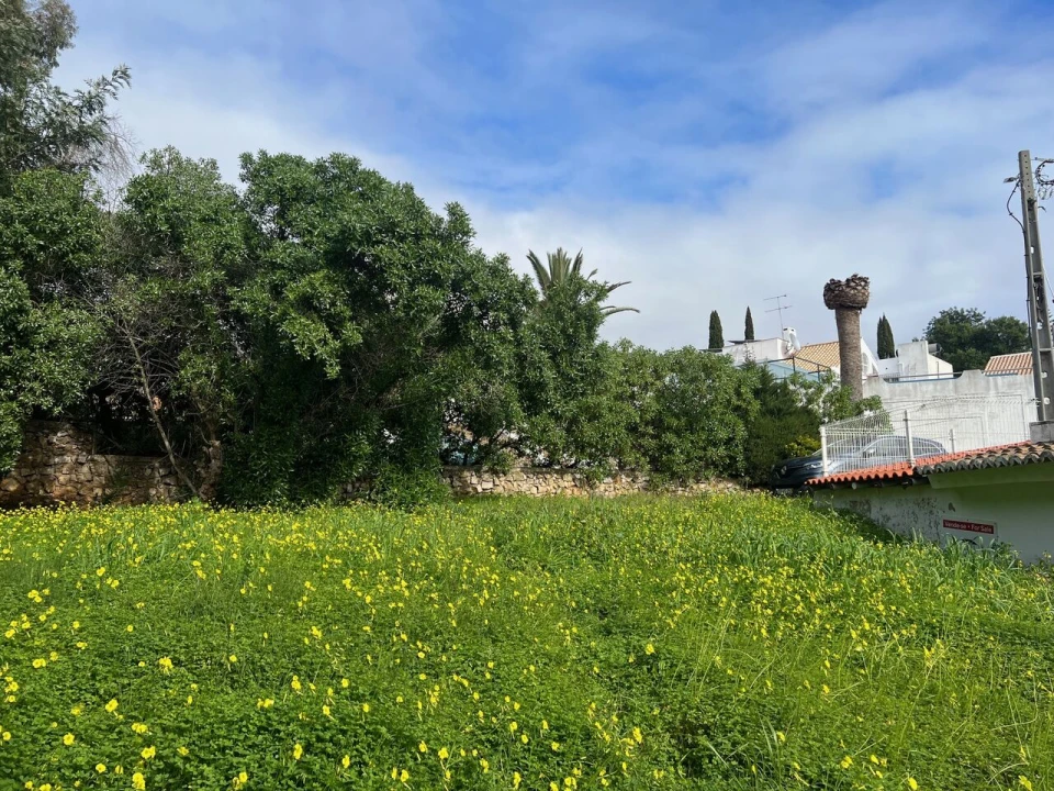 Terreno para Venda em Guia Foto 5