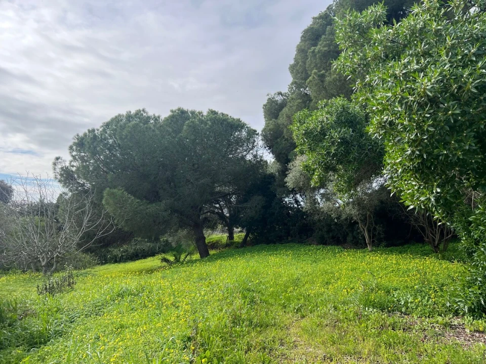 Terreno para Venda em Guia Foto 1