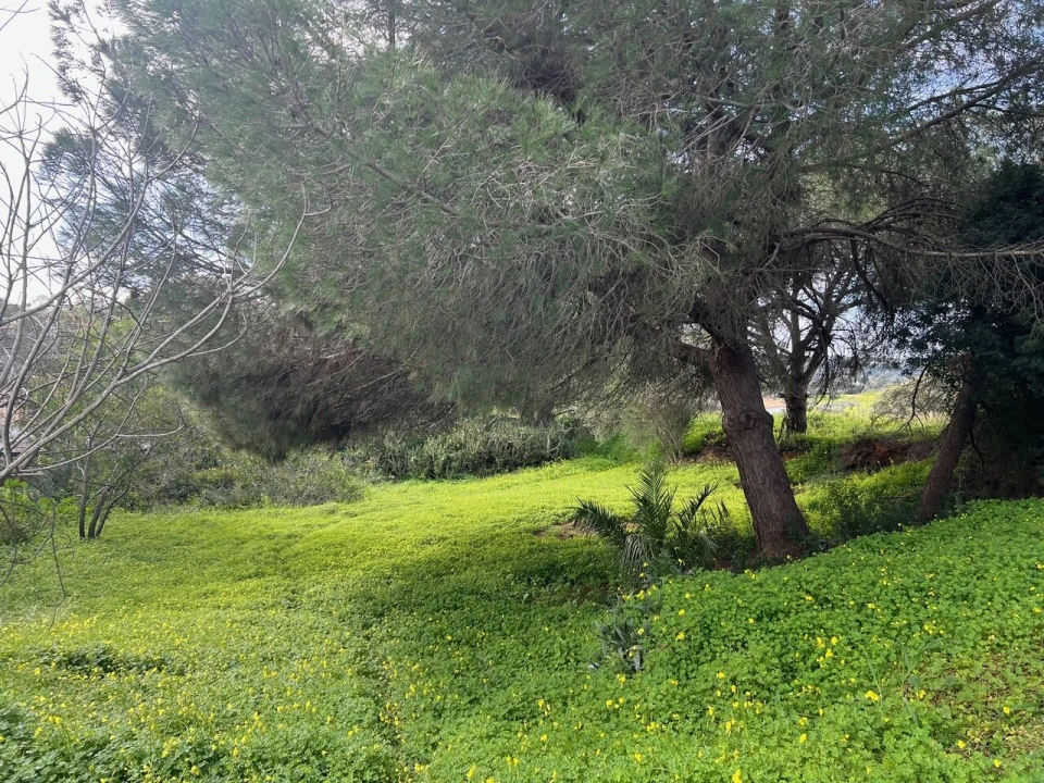 Terreno para Venda em Guia Foto 2