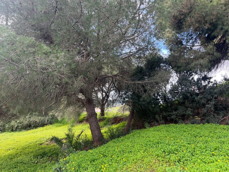 Terreno para Venda em Guia Foto 8