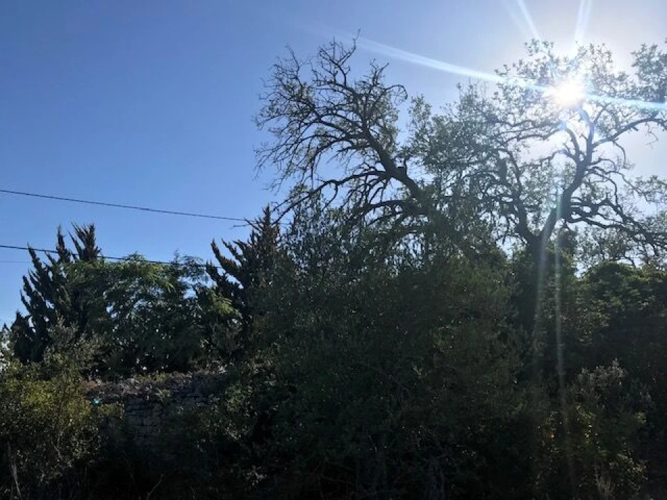 Terreno para Venda em Paderne Foto 14