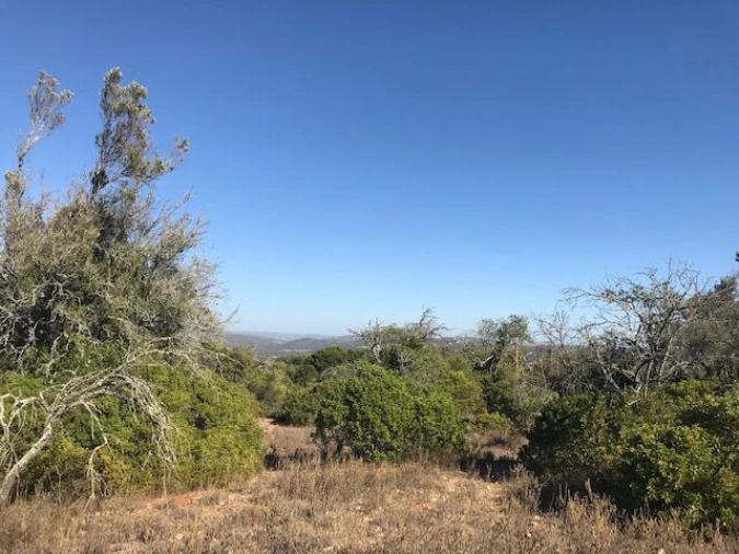 Terreno para Venda em Paderne Foto 12