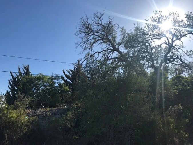 Terreno para Venda em Paderne Foto 8