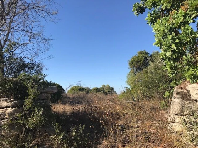 Terreno para Venda em Paderne Foto 6