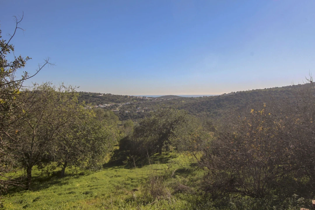 Quinta T3 para Venda em Loule (São Sebastião) Foto 24