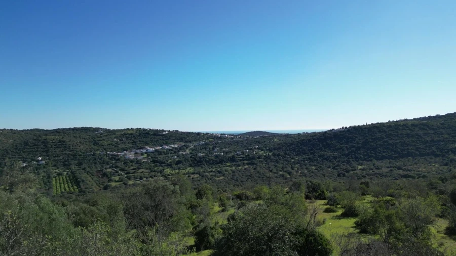 Quinta T3 para Venda em Loule (São Sebastião) Foto 7
