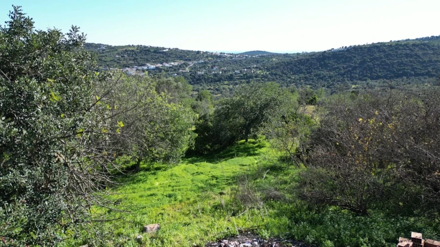 Quinta T3 para Venda em Loule (São Sebastião) Foto 8