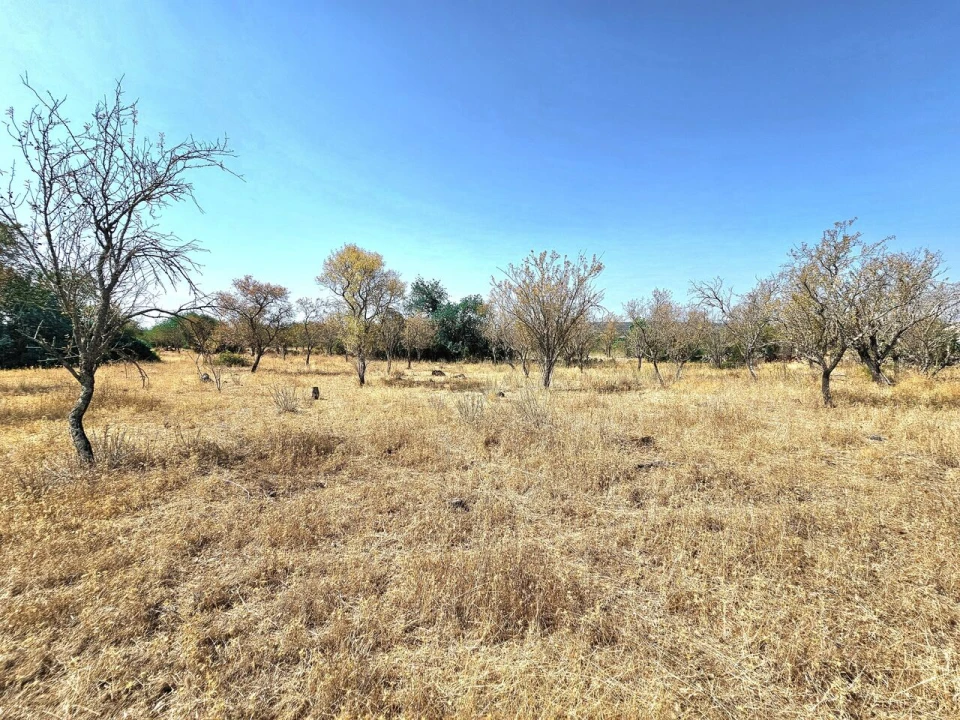 Terreno para Venda em Paderne Foto 27