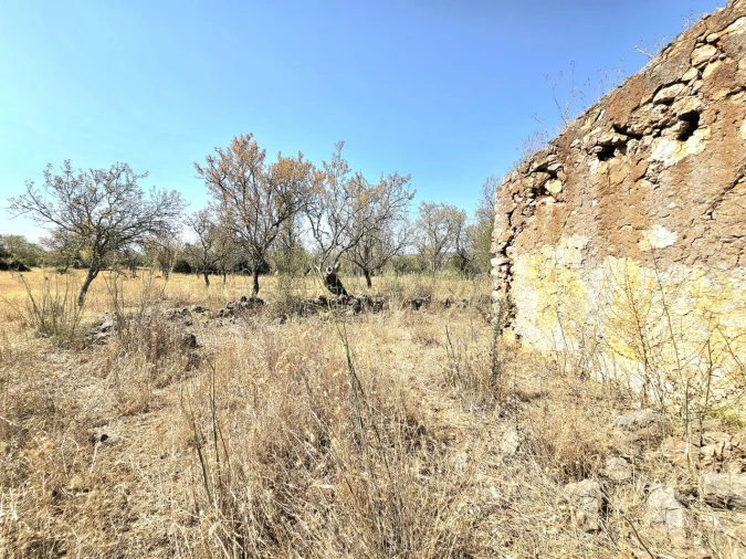 Terreno para Venda em Paderne Foto 29