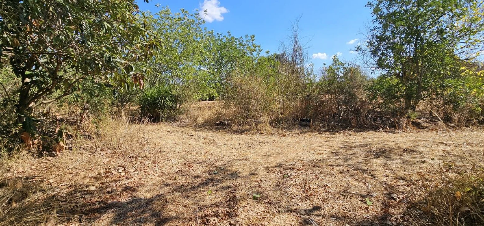 Terreno para Venda em São Bartolomeu de Messines Foto 11