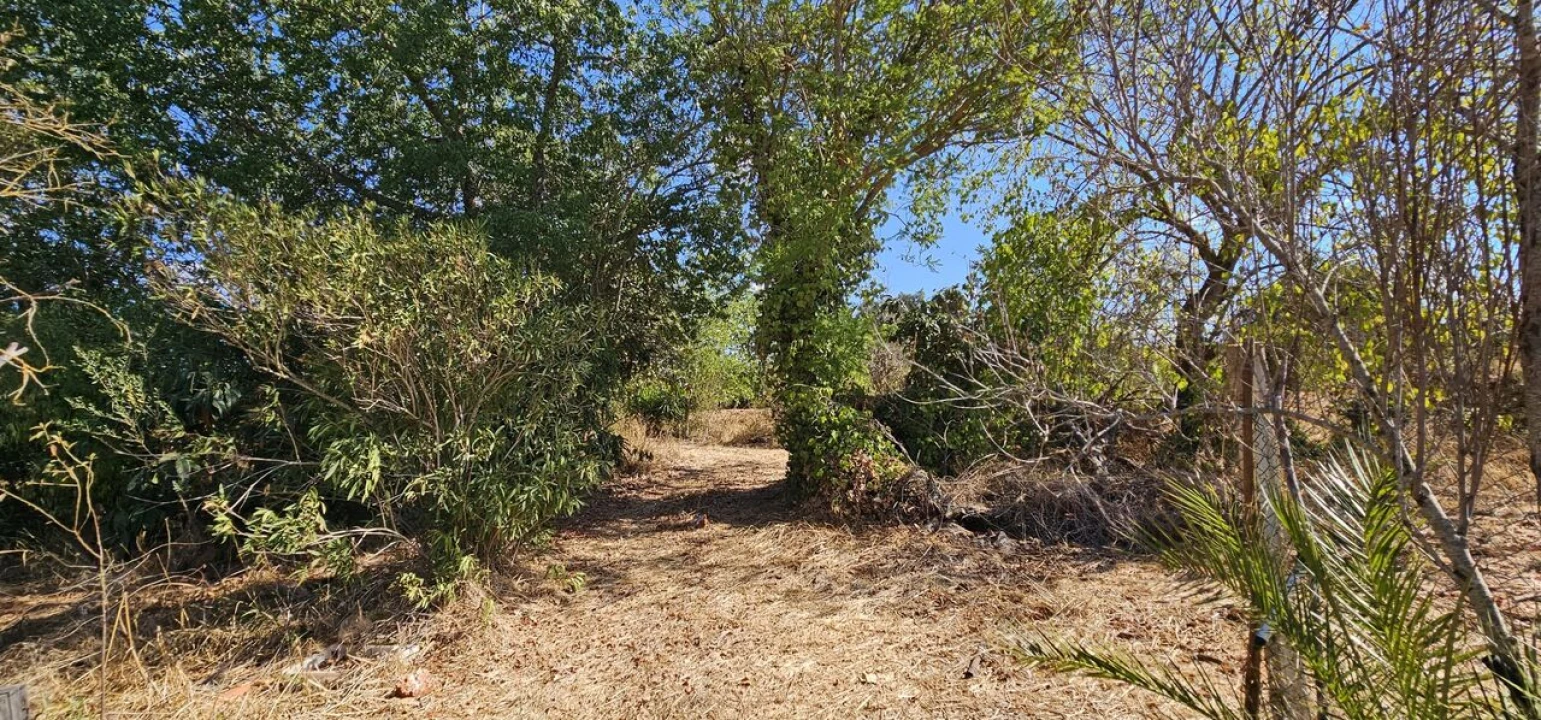 Terreno para Venda em São Bartolomeu de Messines Foto 12