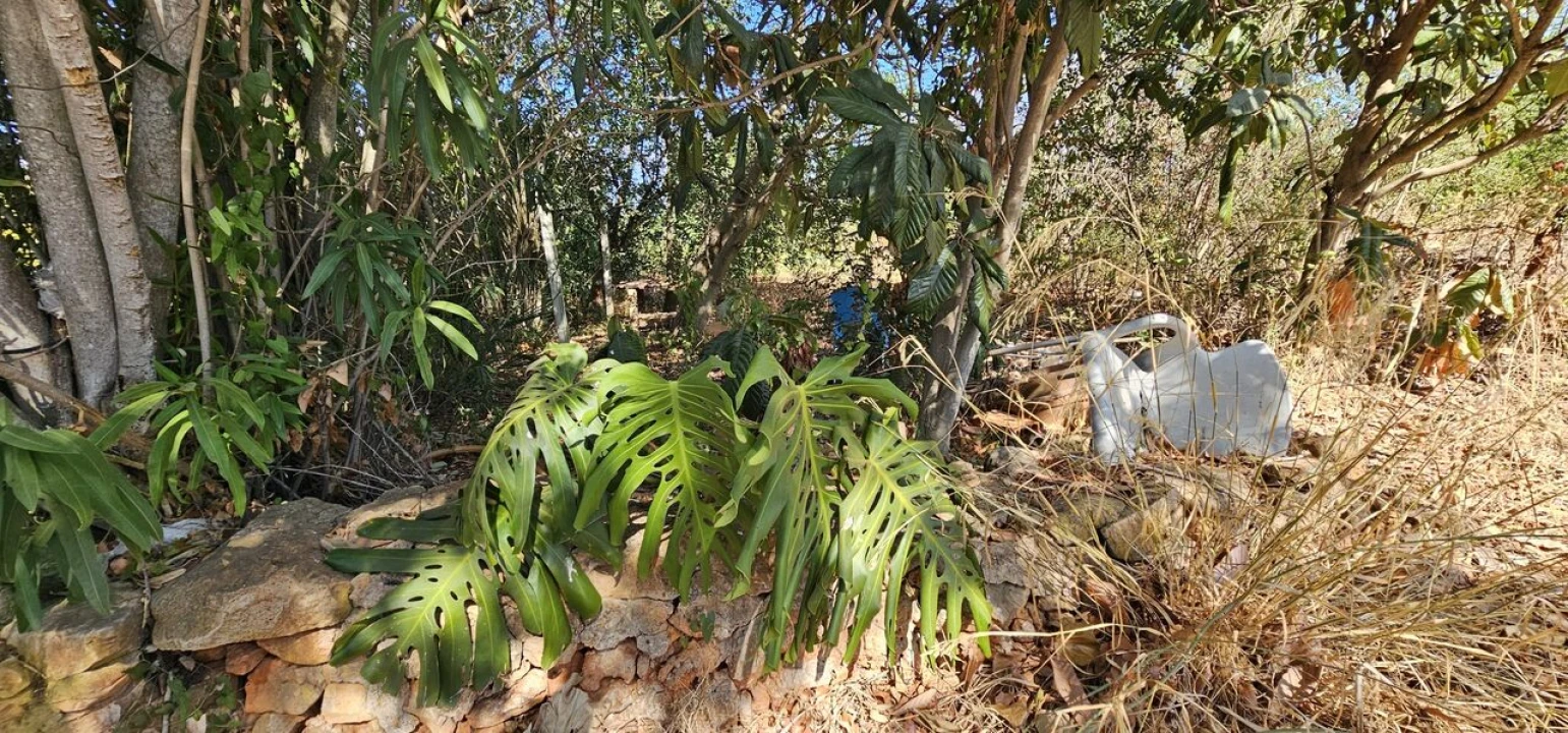 Terreno para Venda em São Bartolomeu de Messines Foto 9