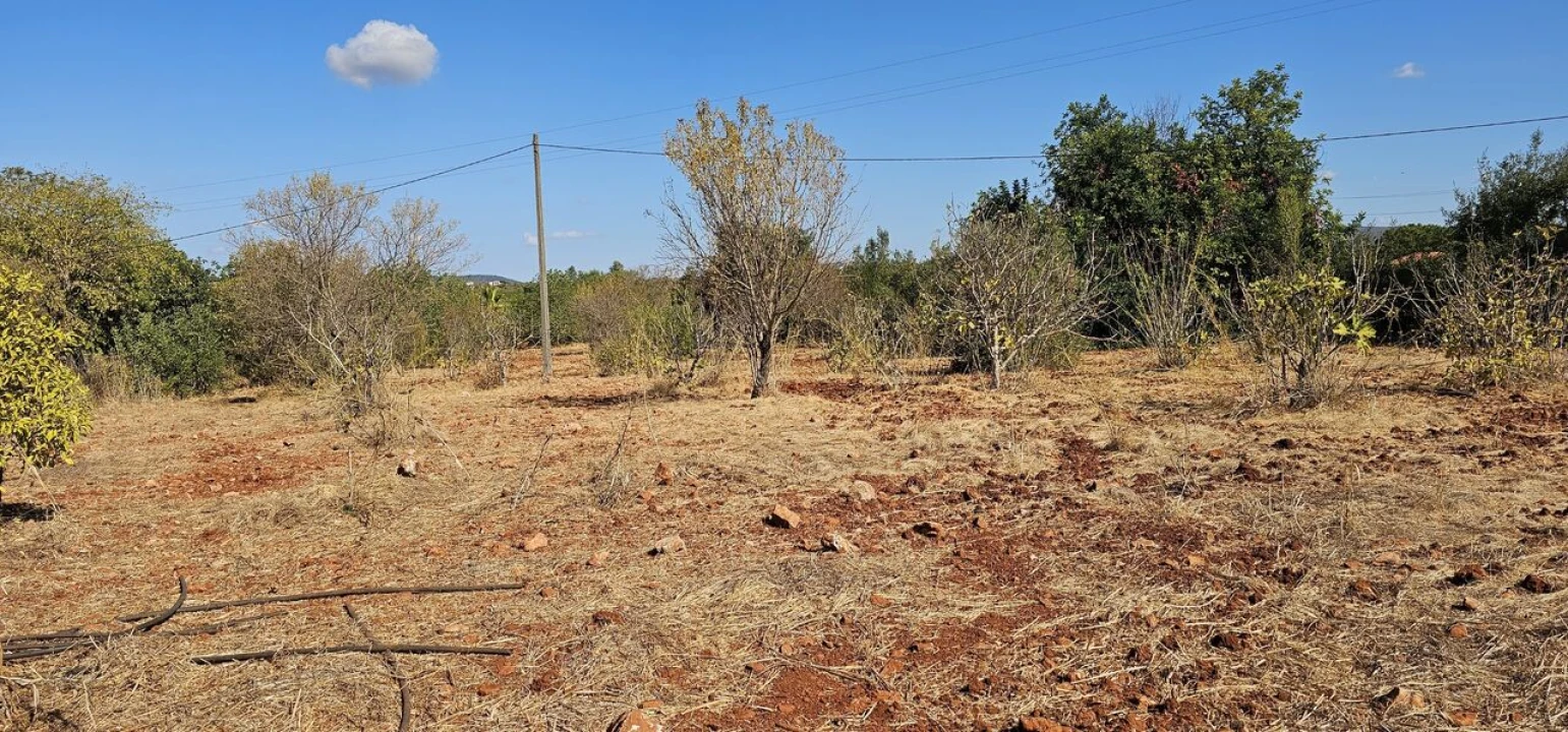Terreno para Venda em São Bartolomeu de Messines Foto 19
