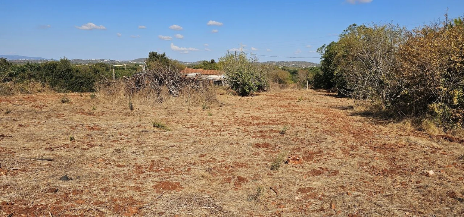 Terreno para Venda em São Bartolomeu de Messines Foto 21