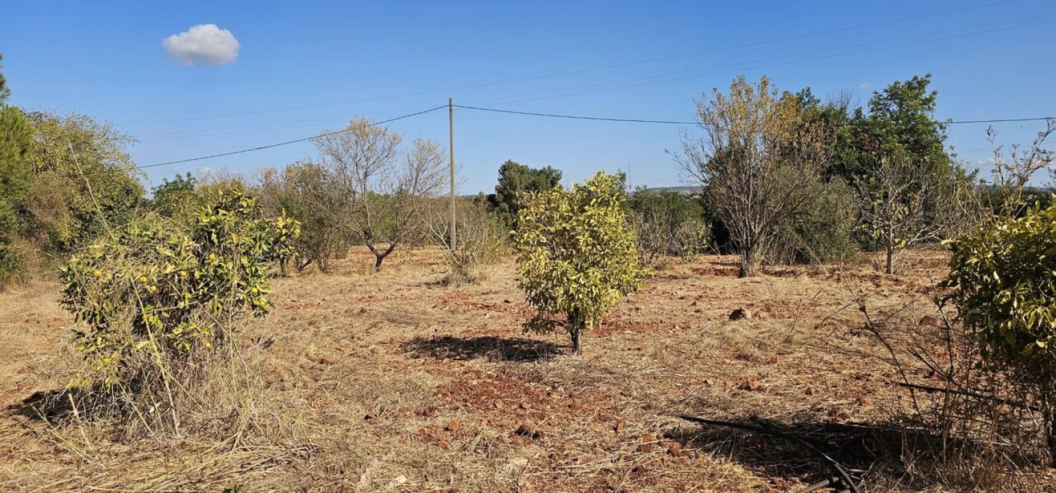 Terreno para Venda em São Bartolomeu de Messines Foto 22