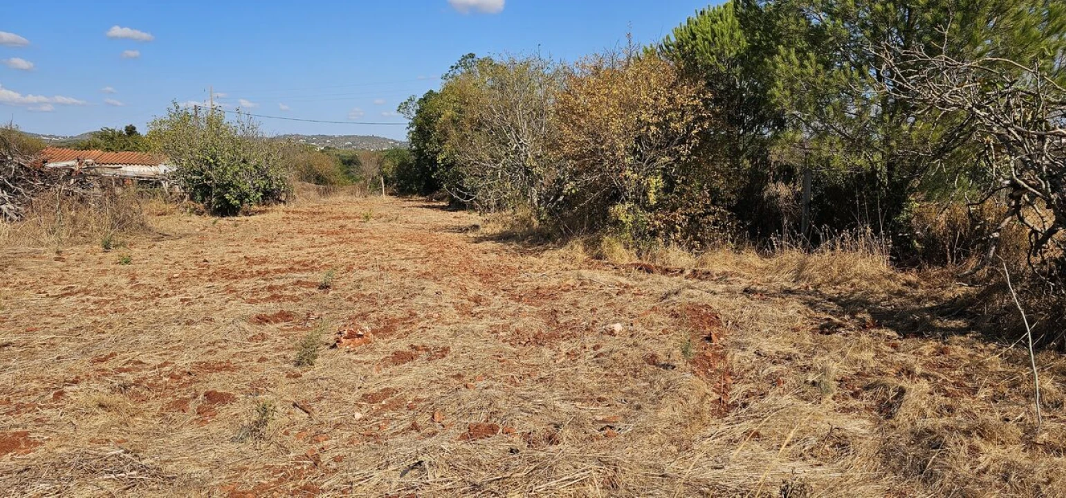 Terreno para Venda em São Bartolomeu de Messines Foto 24