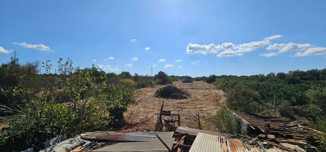Terreno para Venda em São Bartolomeu de Messines Foto 10