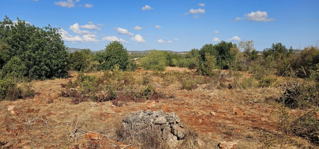 Terreno para Venda em São Bartolomeu de Messines Foto 16