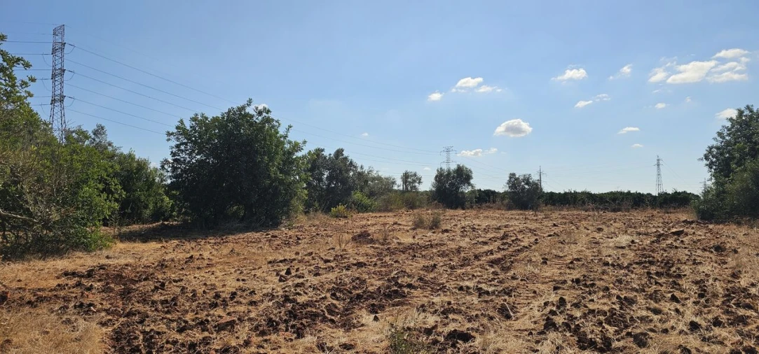 Terreno para Venda em São Bartolomeu de Messines Foto 17