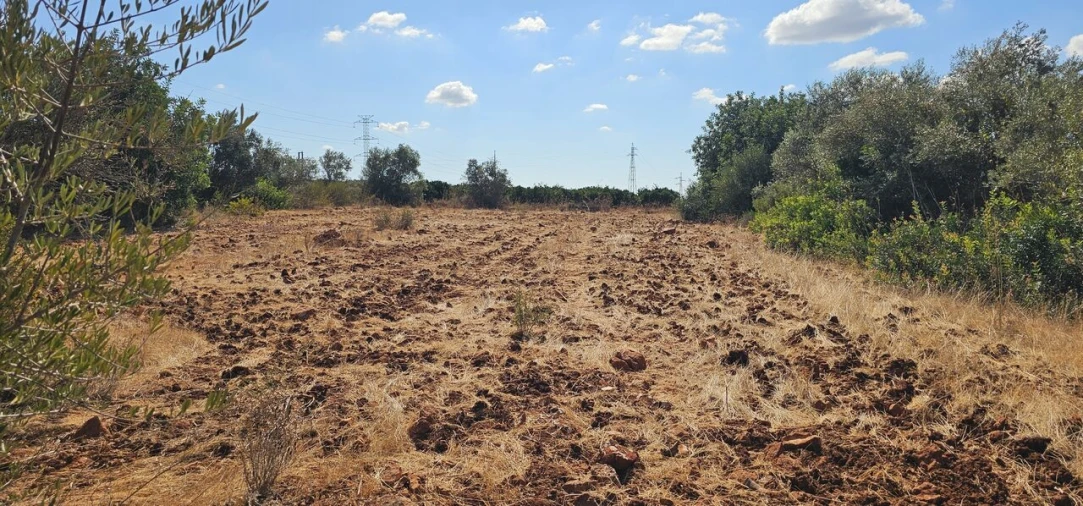 Terreno para Venda em São Bartolomeu de Messines Foto 18
