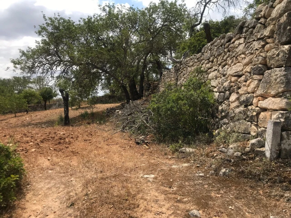 Terreno para Venda em Boliqueime Foto 2