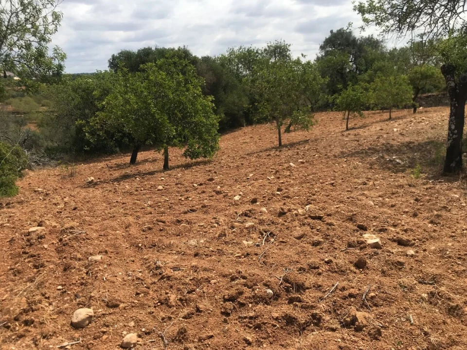Terreno para Venda em Boliqueime Foto 4