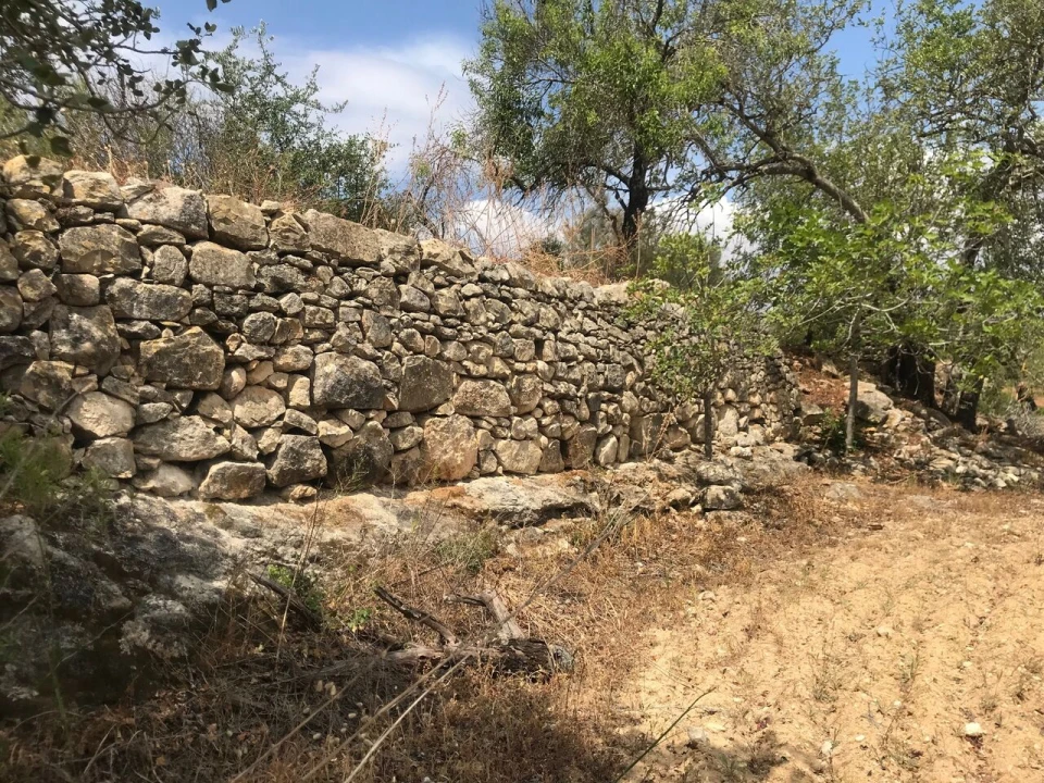 Terreno para Venda em Boliqueime Foto 6