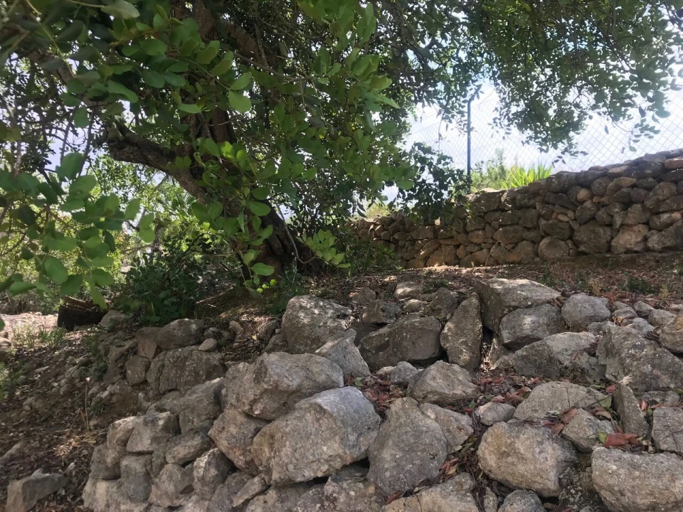 Terreno para Venda em Boliqueime Foto 7