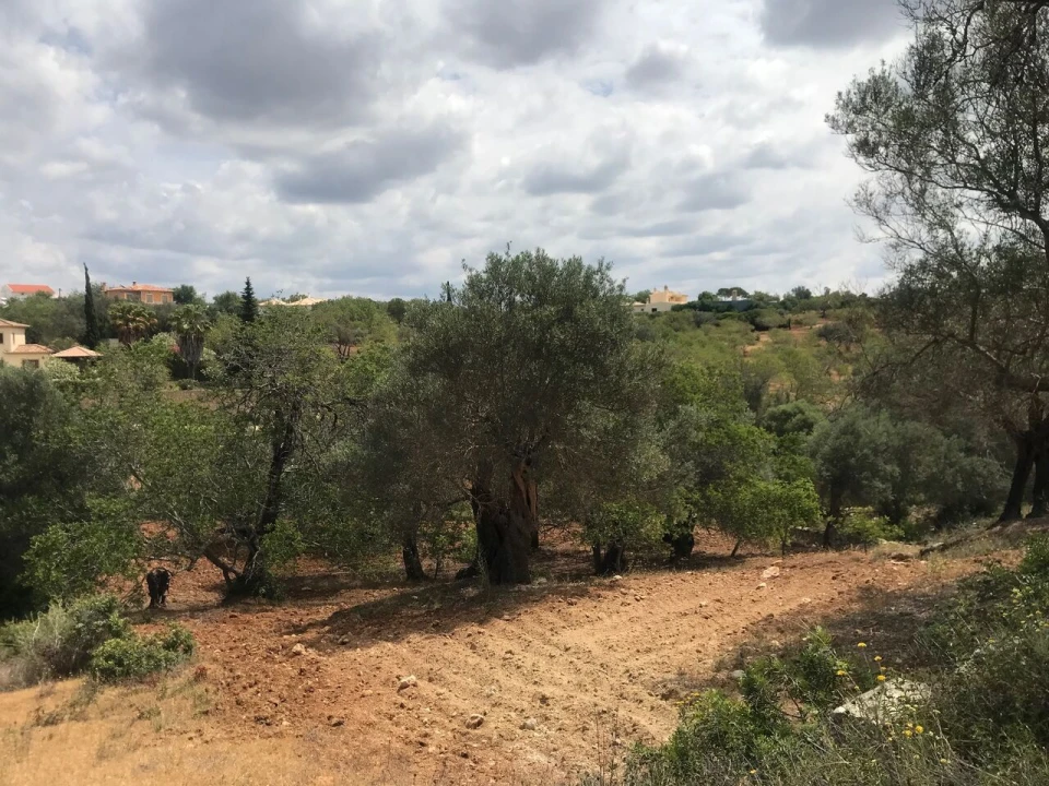 Terreno para Venda em Boliqueime Foto 8