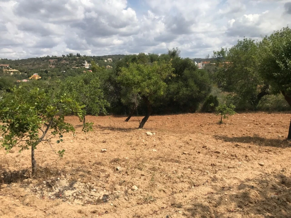 Terreno para Venda em Boliqueime Foto 15