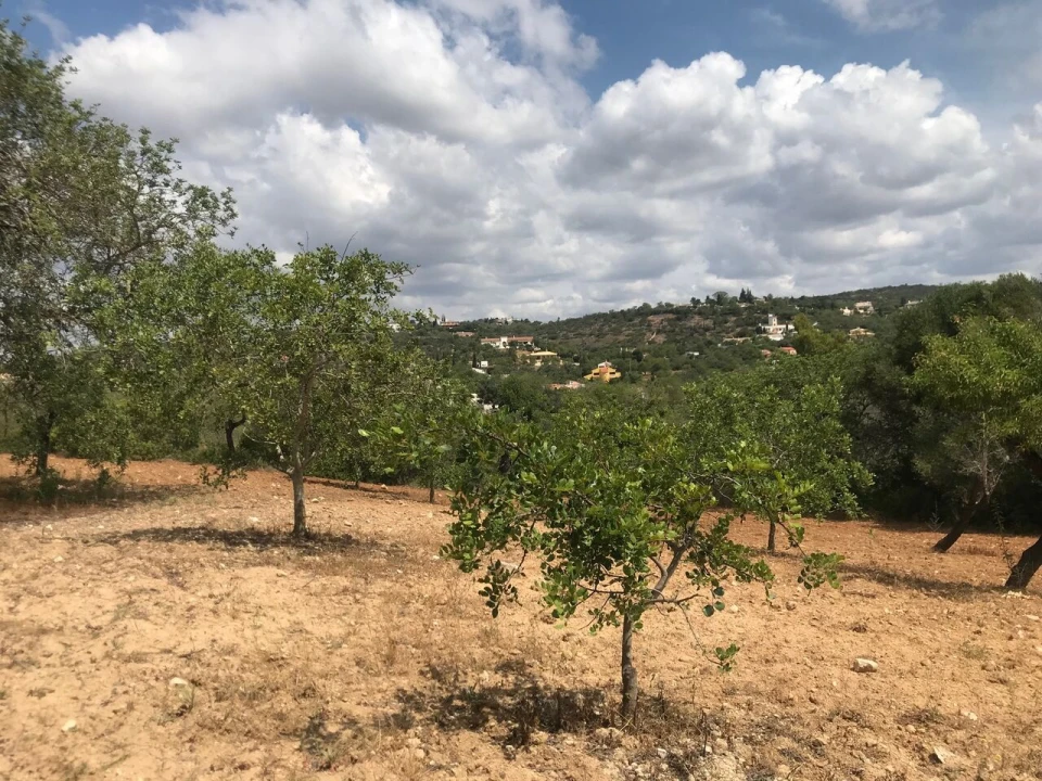 Terreno para Venda em Boliqueime Foto 16