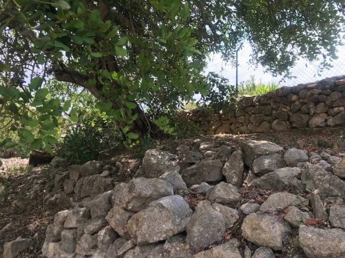 Terreno para Venda em Boliqueime Foto 7