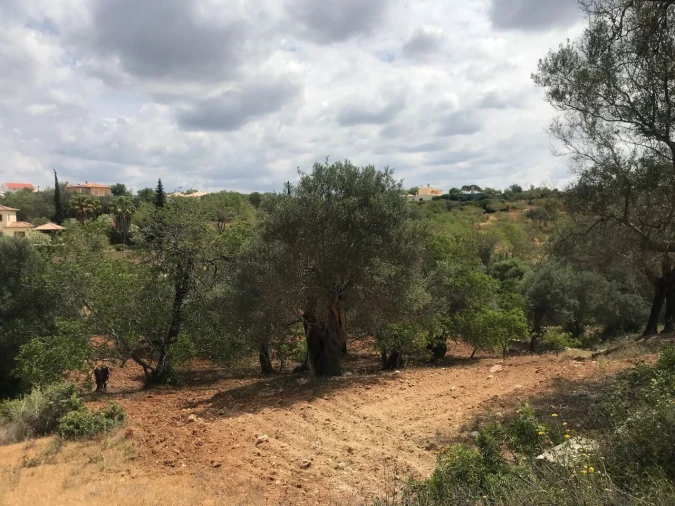Terreno para Venda em Boliqueime Foto 8